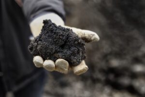 A handful of oil-rich sand from Alberta. 